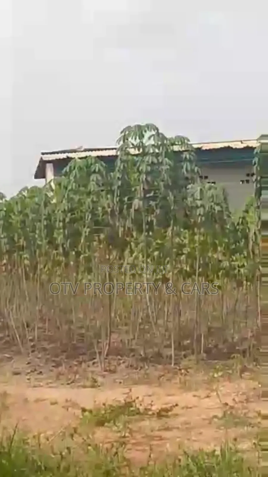 (22.876 Acres )9.281 Hectare of Farmland for Sale