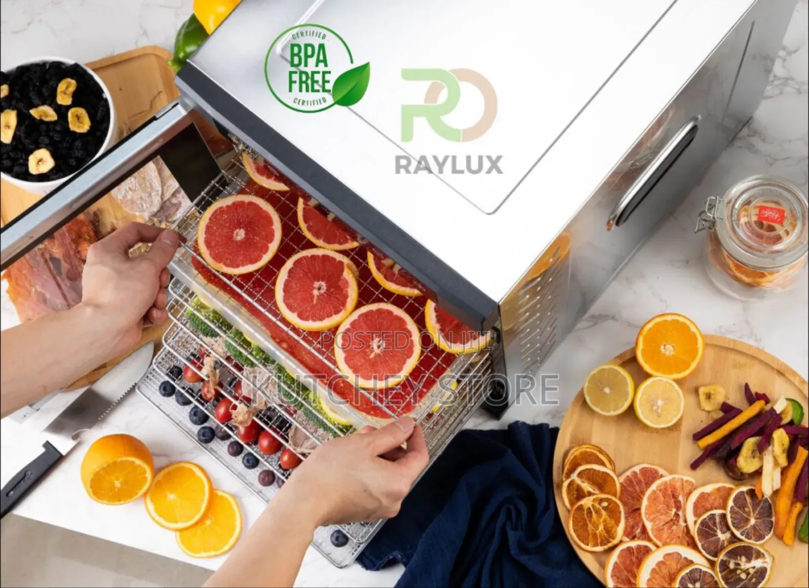 Raylux 10-Trays Professional Stainless Steel Food Dehydrator