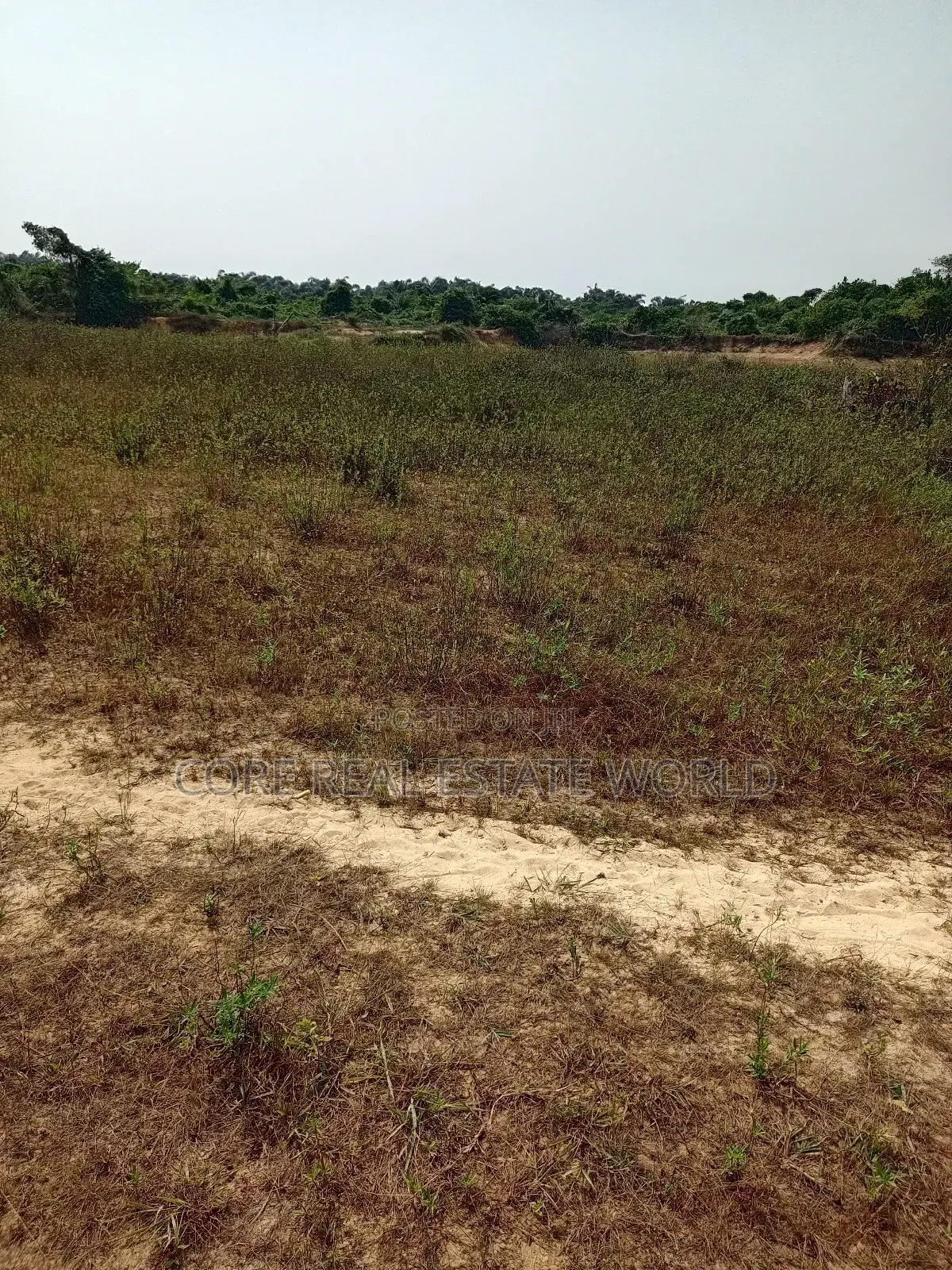 Harmony Estate, Ngor Okpala Imo State