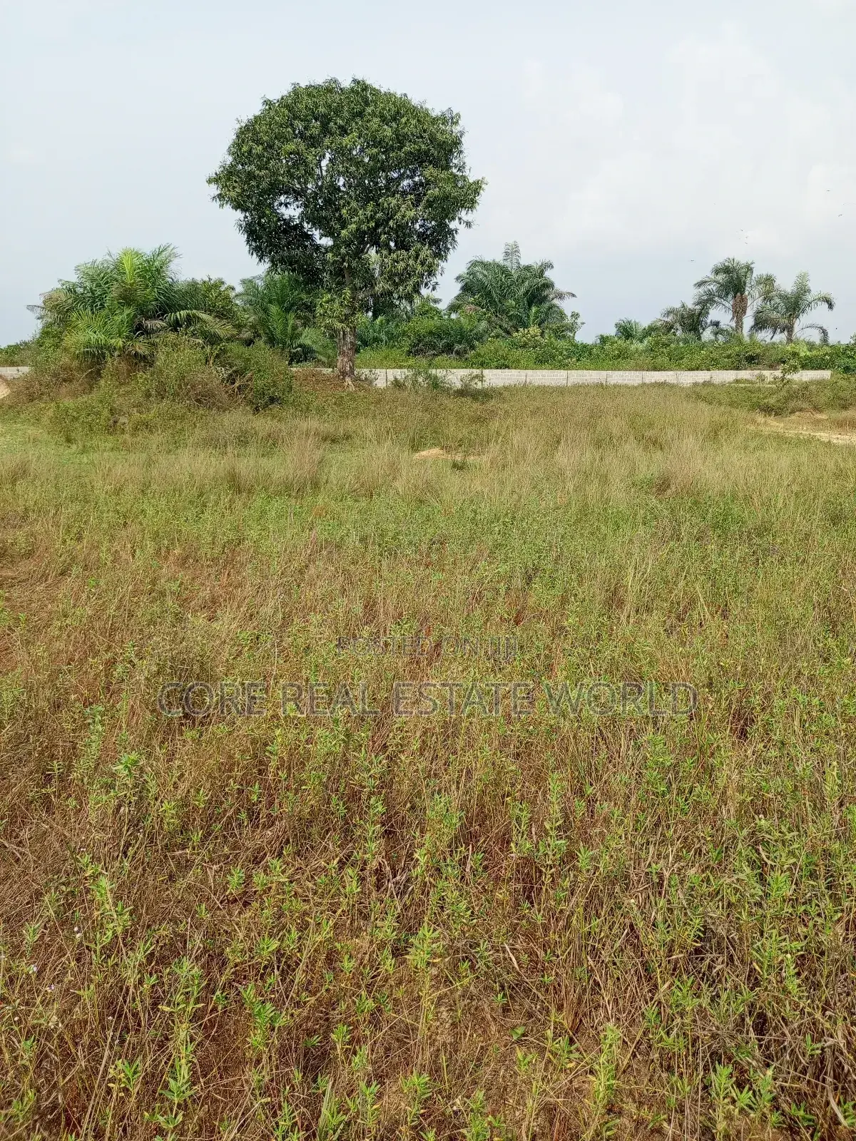 Flourish Garden Estate, Igwuruta-Ali Ph