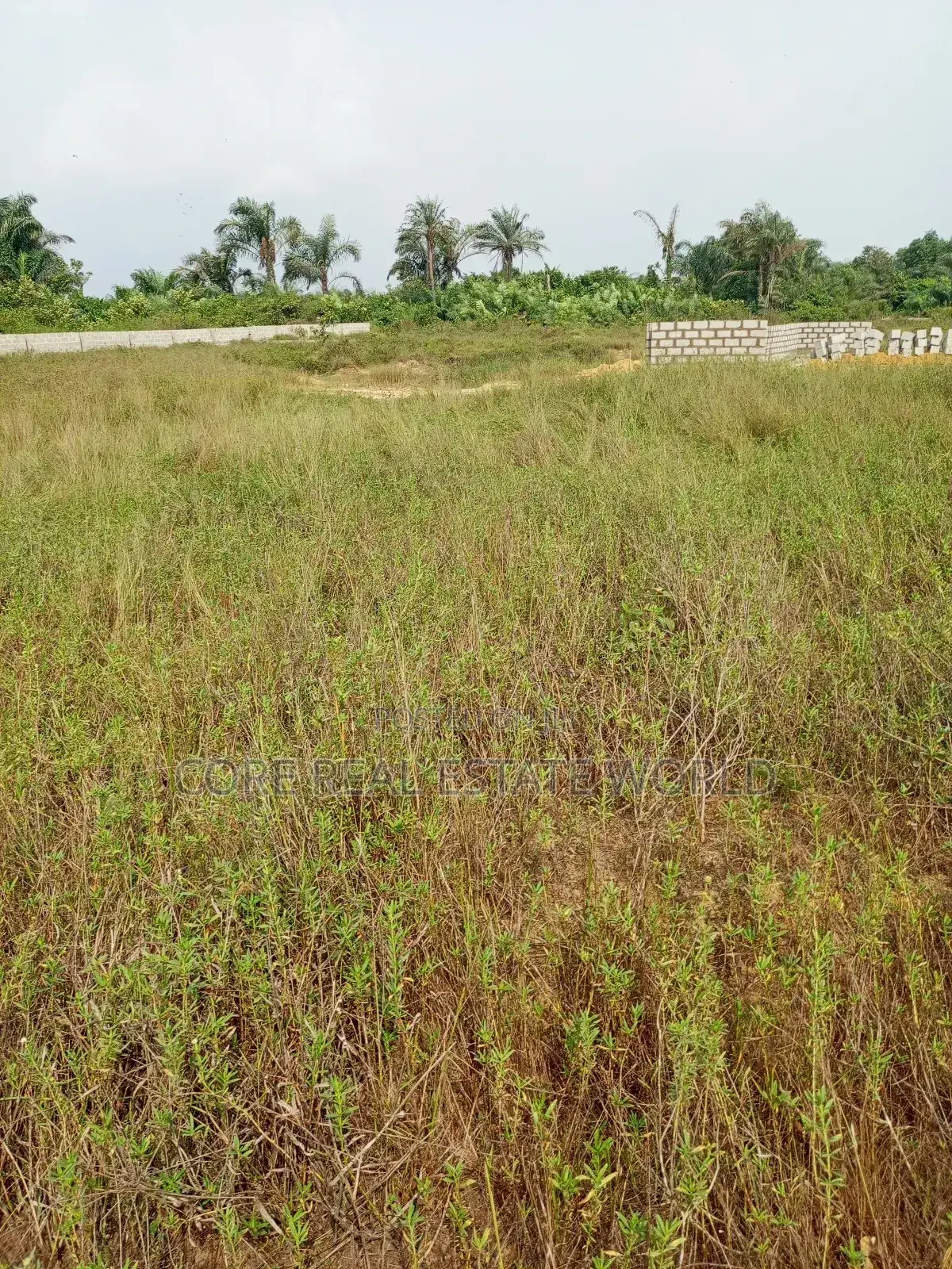 Max Vile Estate, Lapoti Ado Odo Rd Ota, Ogun State