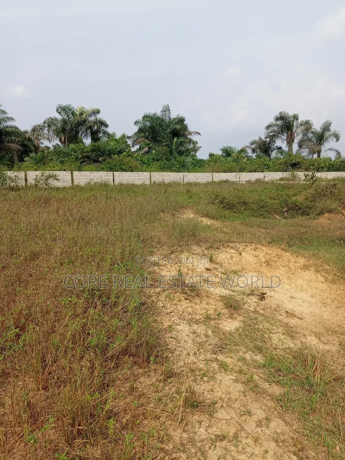 Max Pride, Ogua Community, Ovia North, Edo State
