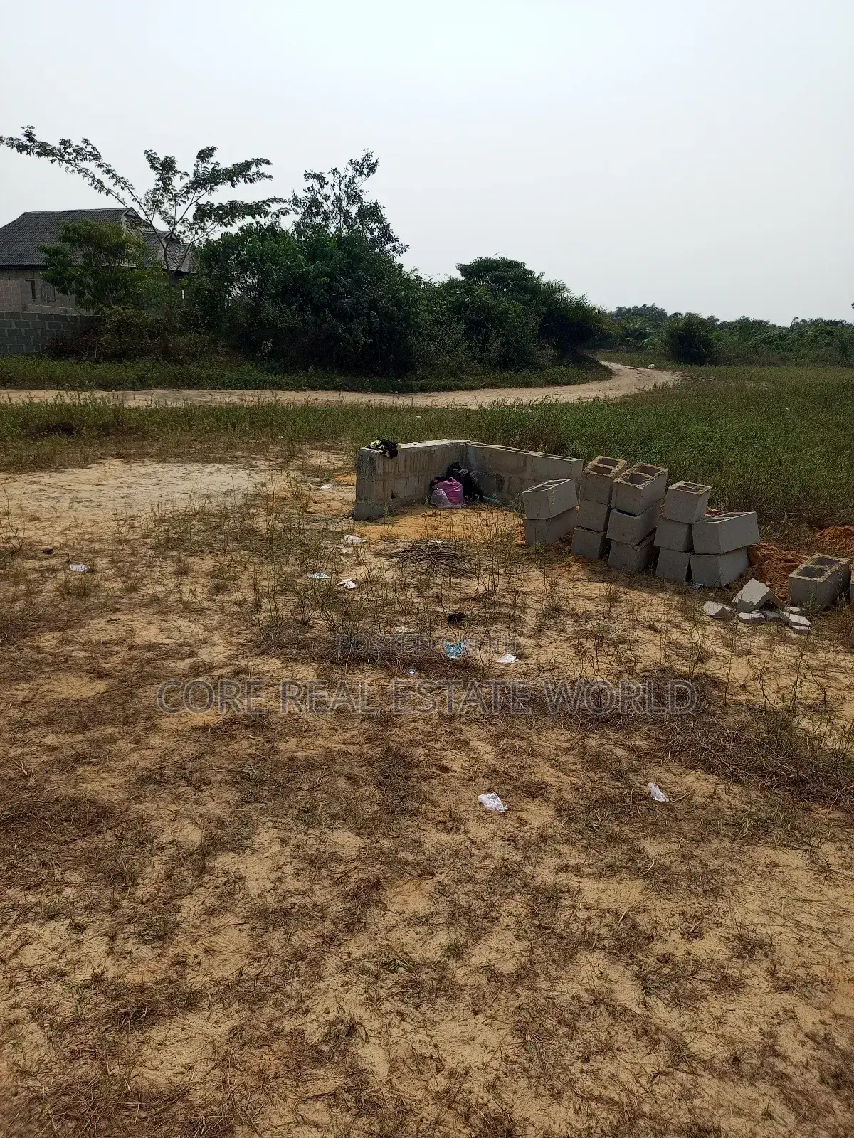 Max Fortune, Ibusa, Asaba Delta State