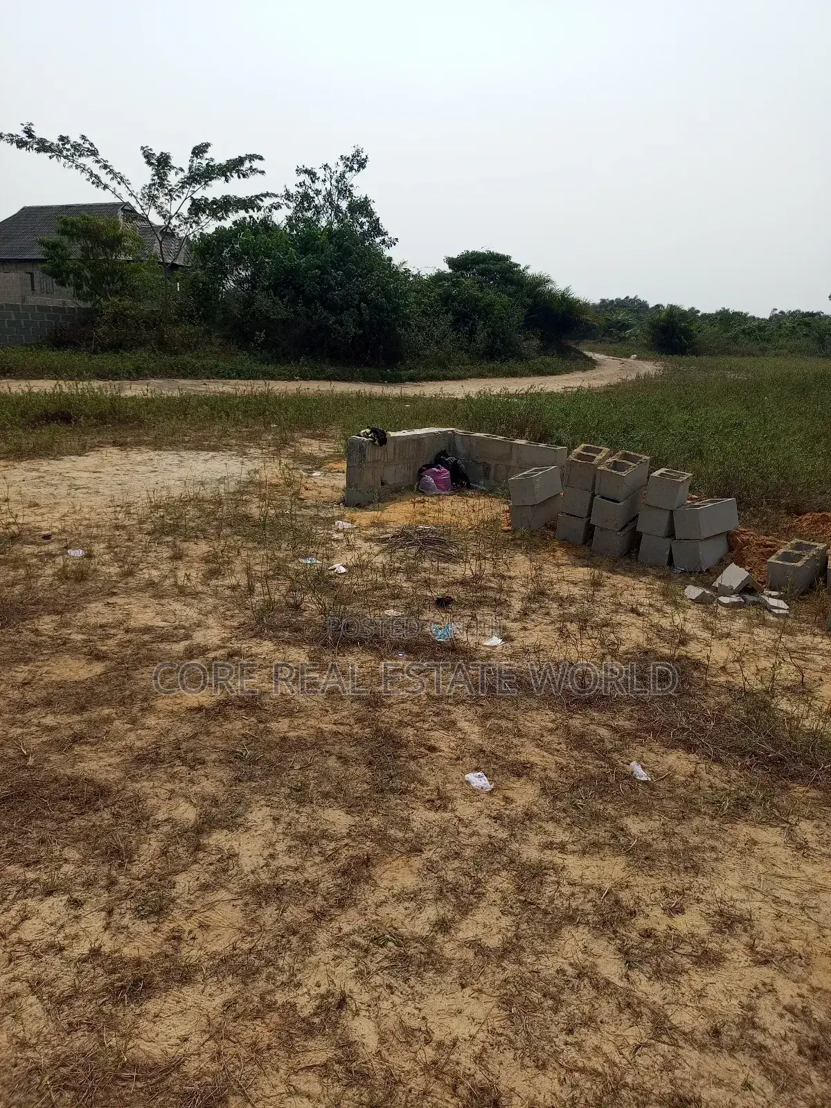 Max Fortune, Ibusa, Asaba Delta State