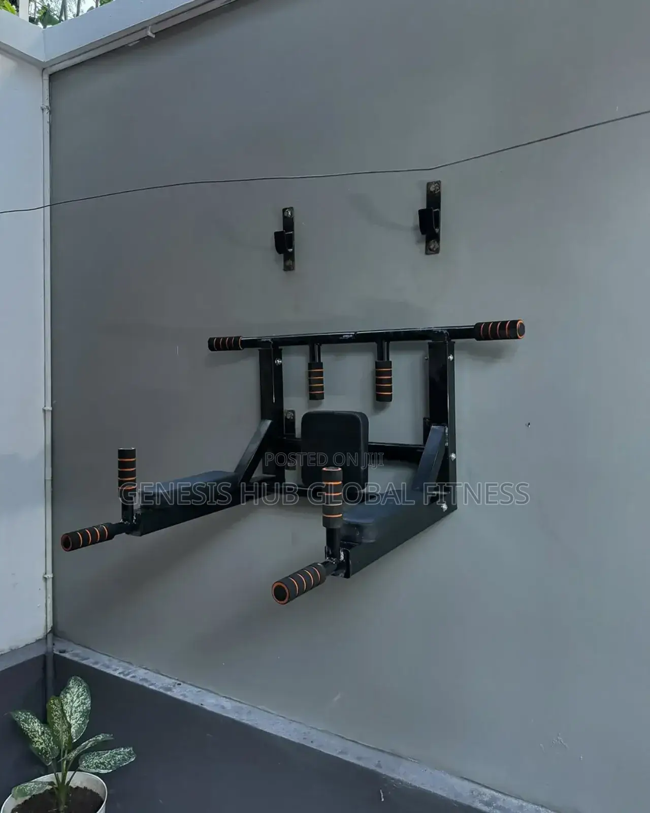 Wall Mounted Pull Up Bar PT110