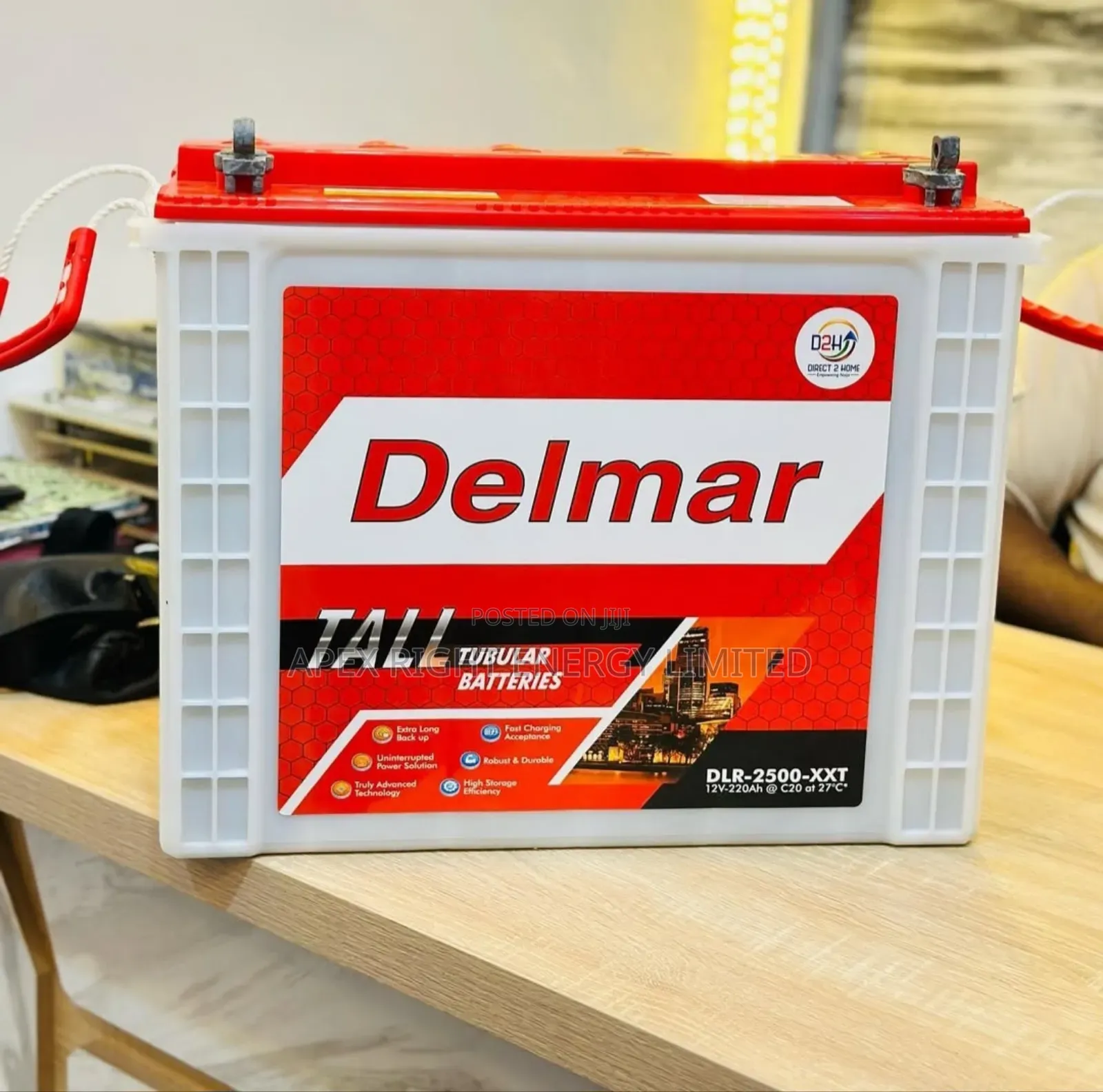 220ah_12volts Delmar Tubular Battery