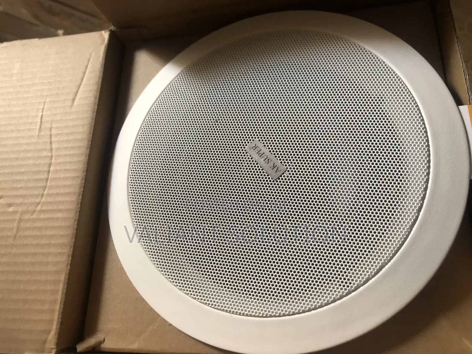 AK Ceiling Speaker
