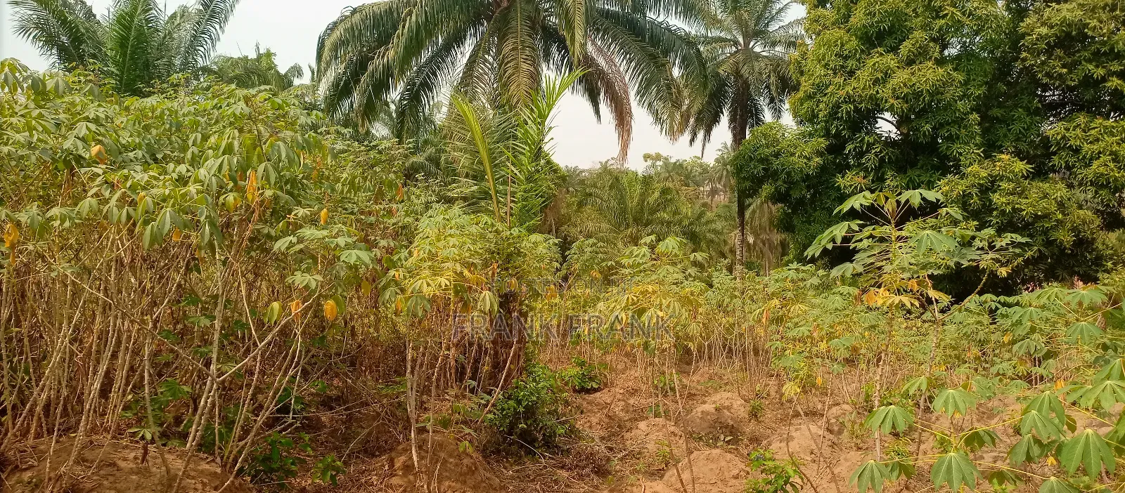 5 and Half Plots of Land at Amawbia, in Awka Anambra State