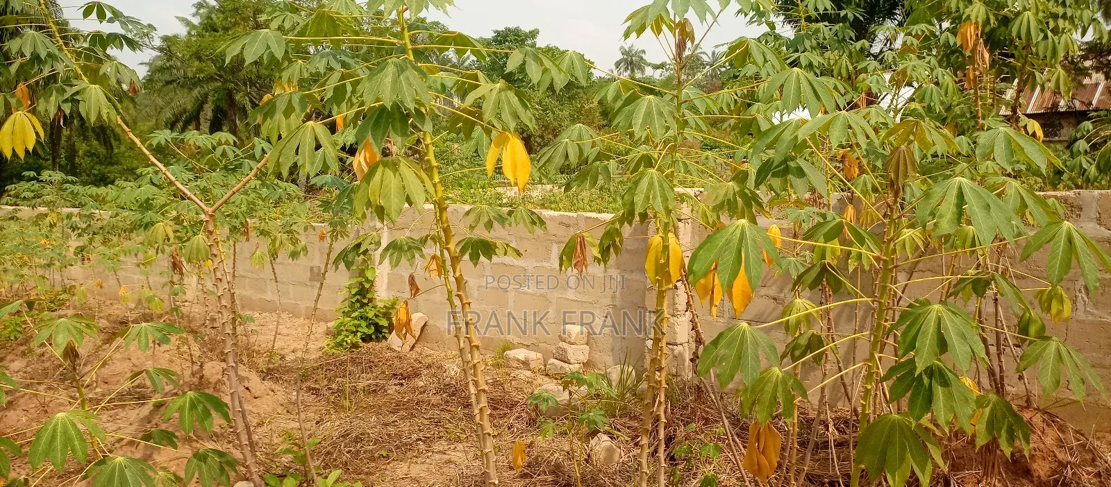 5 and Half Plots of Land at Amawbia, in Awka Anambra State