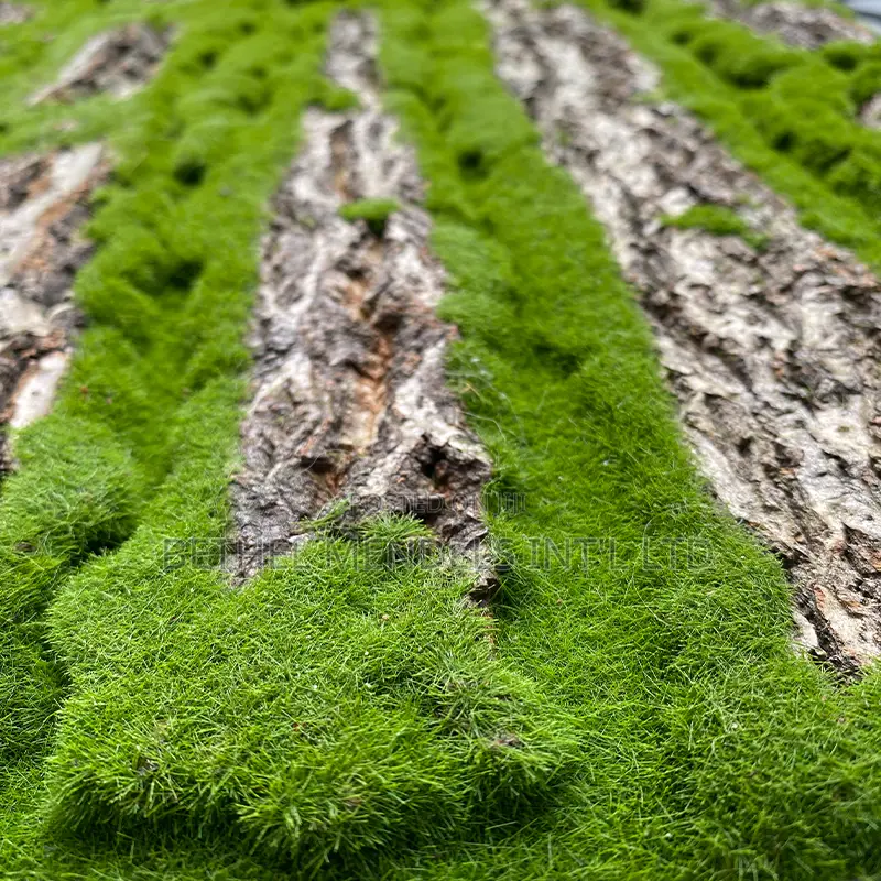 Artificial Tree Bark Moss Wall Mats Available for Bulk Sales
