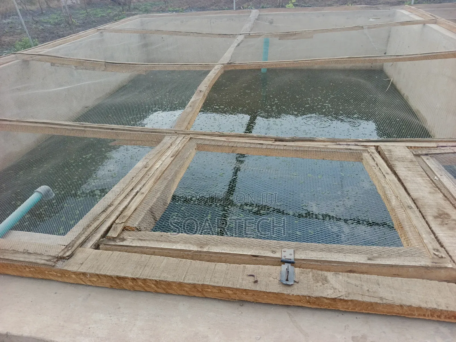 Construction of Fish Pond