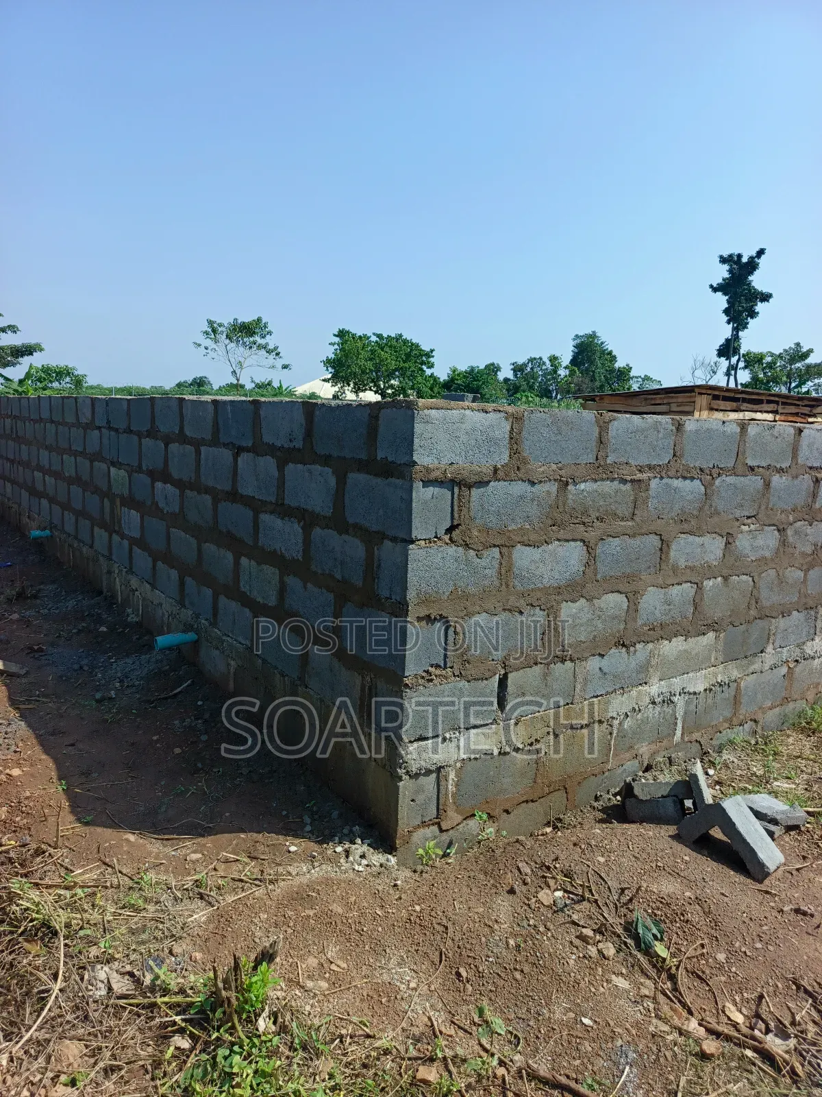 Fish Pond Farming