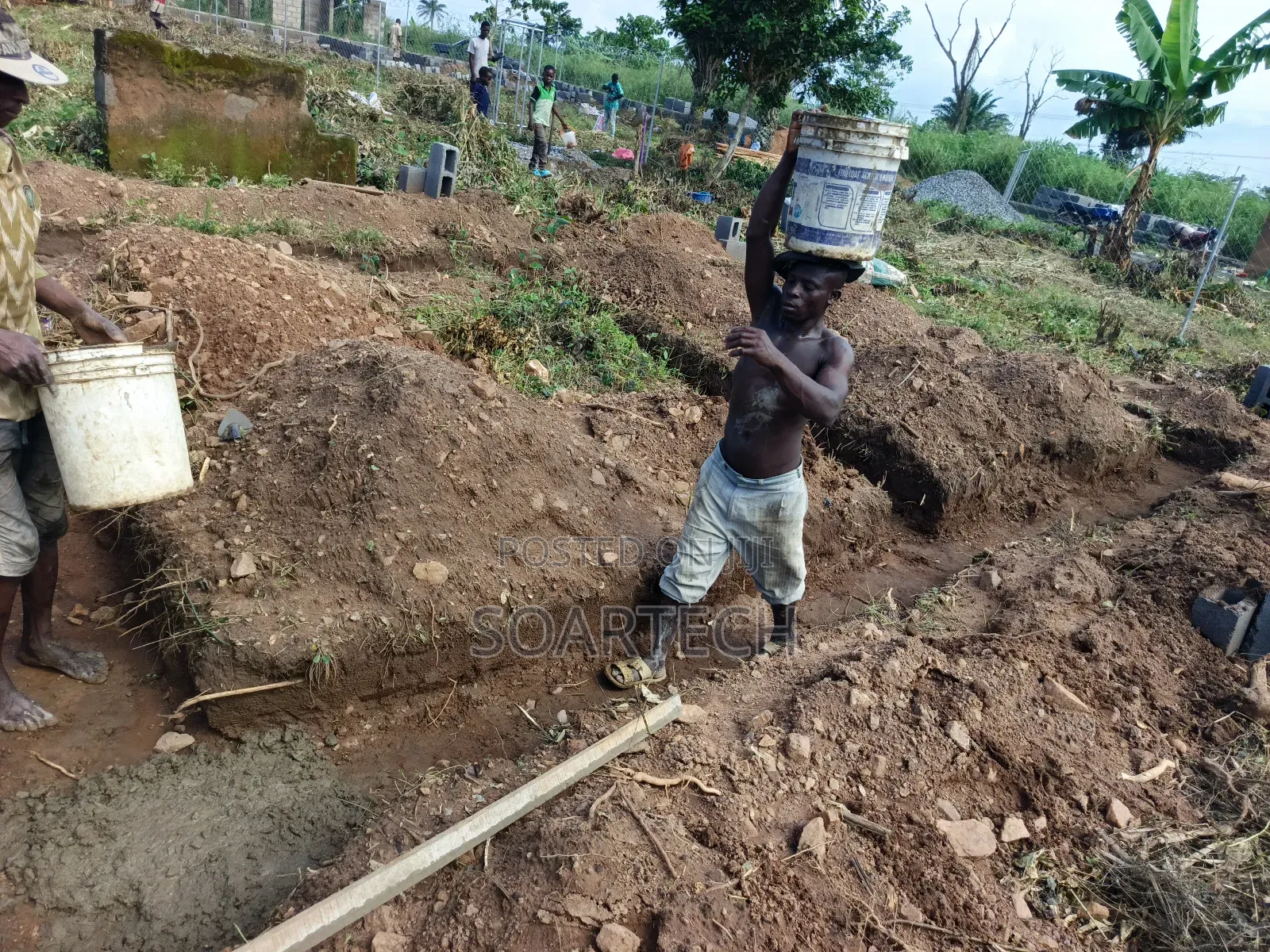 Fish Pond Farming