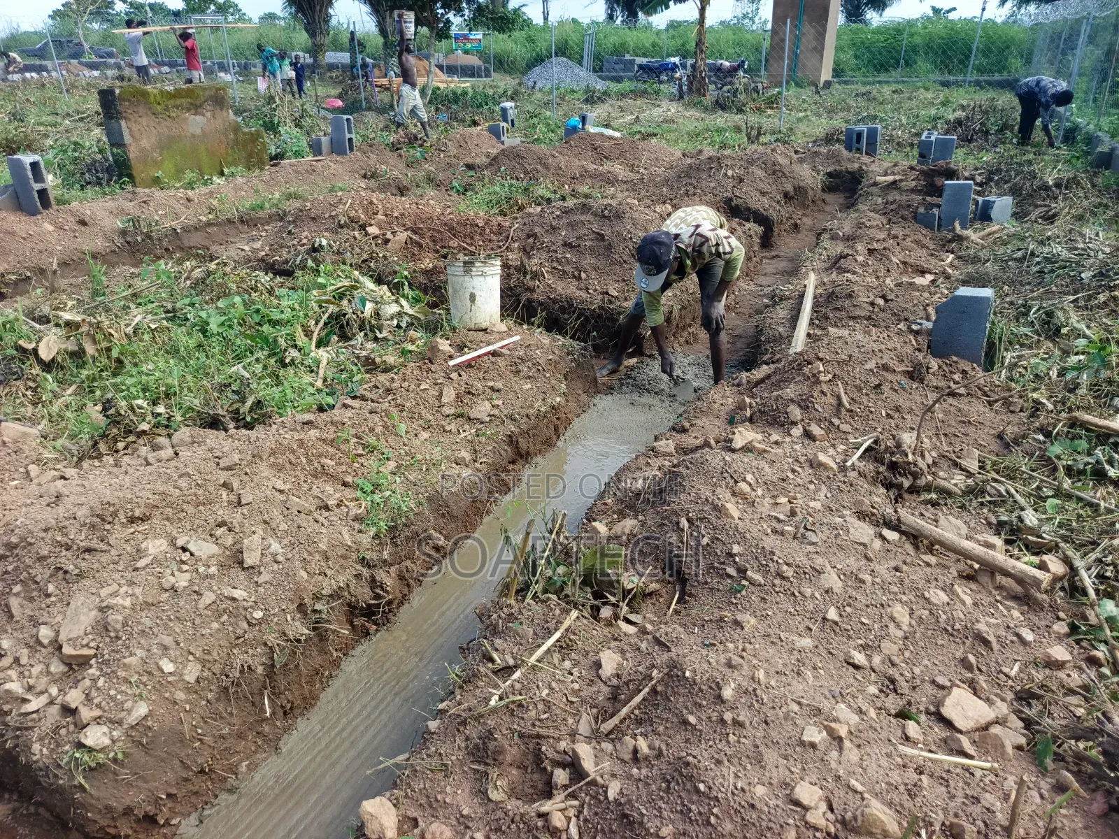 Fish Pond Farming