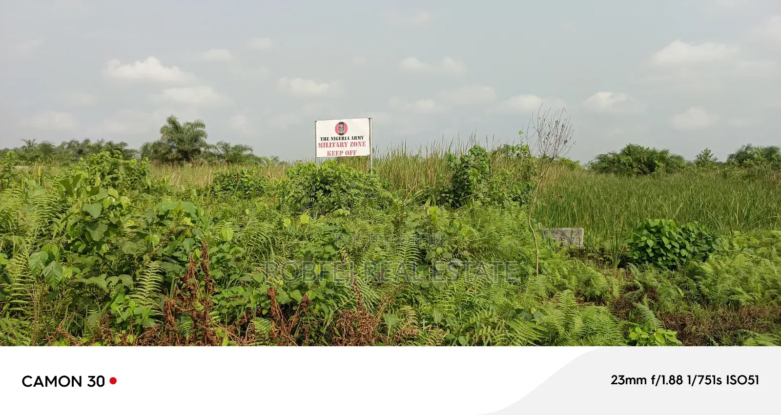 Your Dream Plots Awaits!