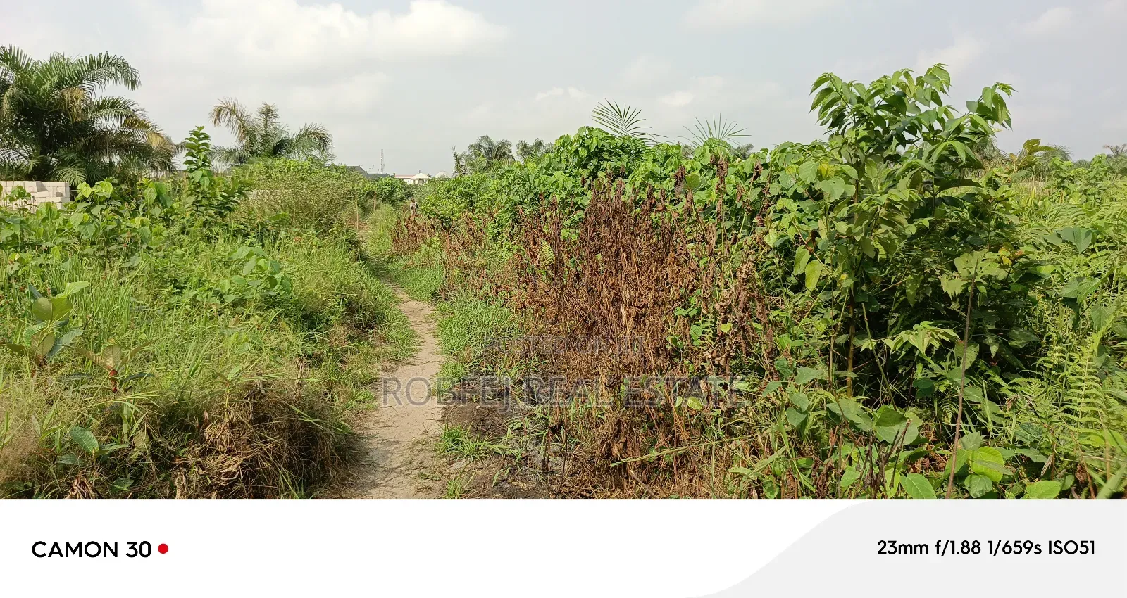 Your Dream Plots Awaits!