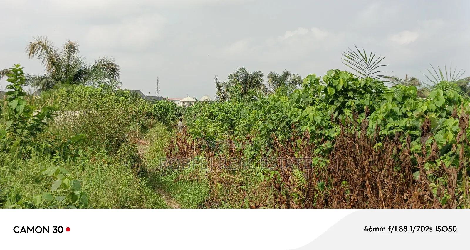 Your Dream Plots Awaits!