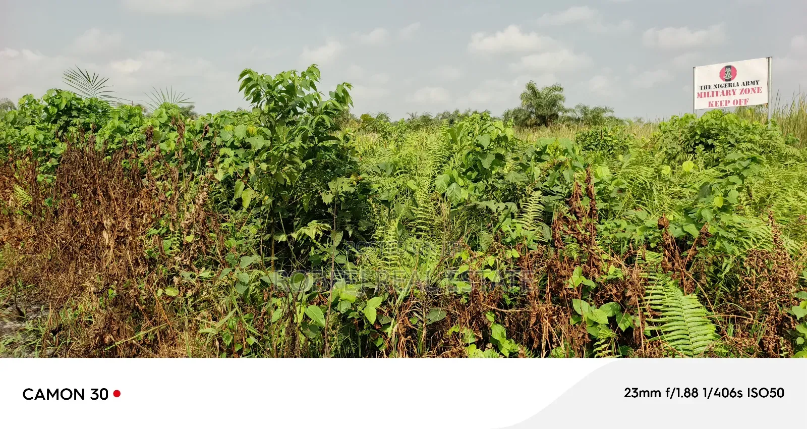 Your Dream Plots Awaits!