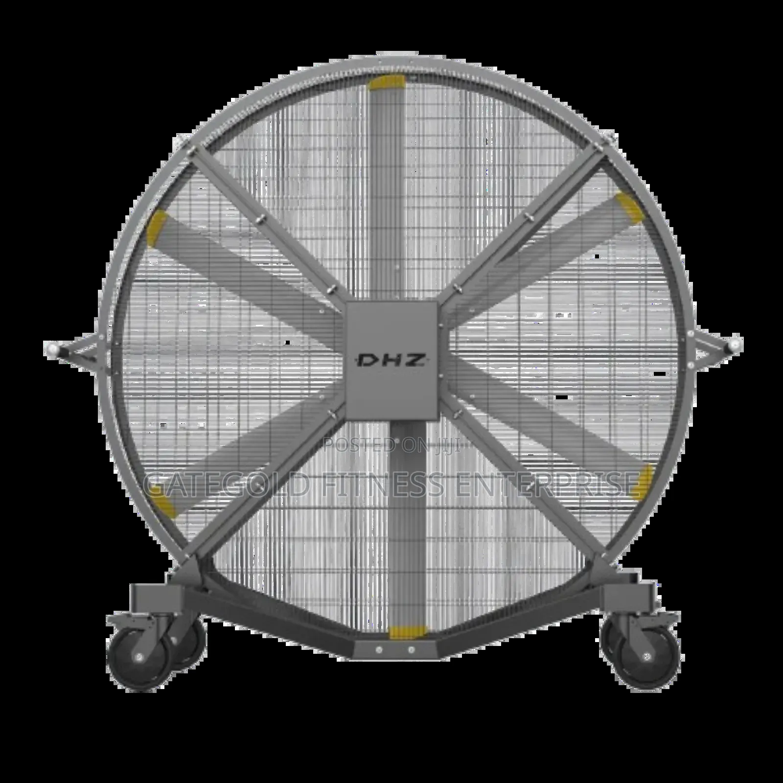 Gym Fan Fs300p