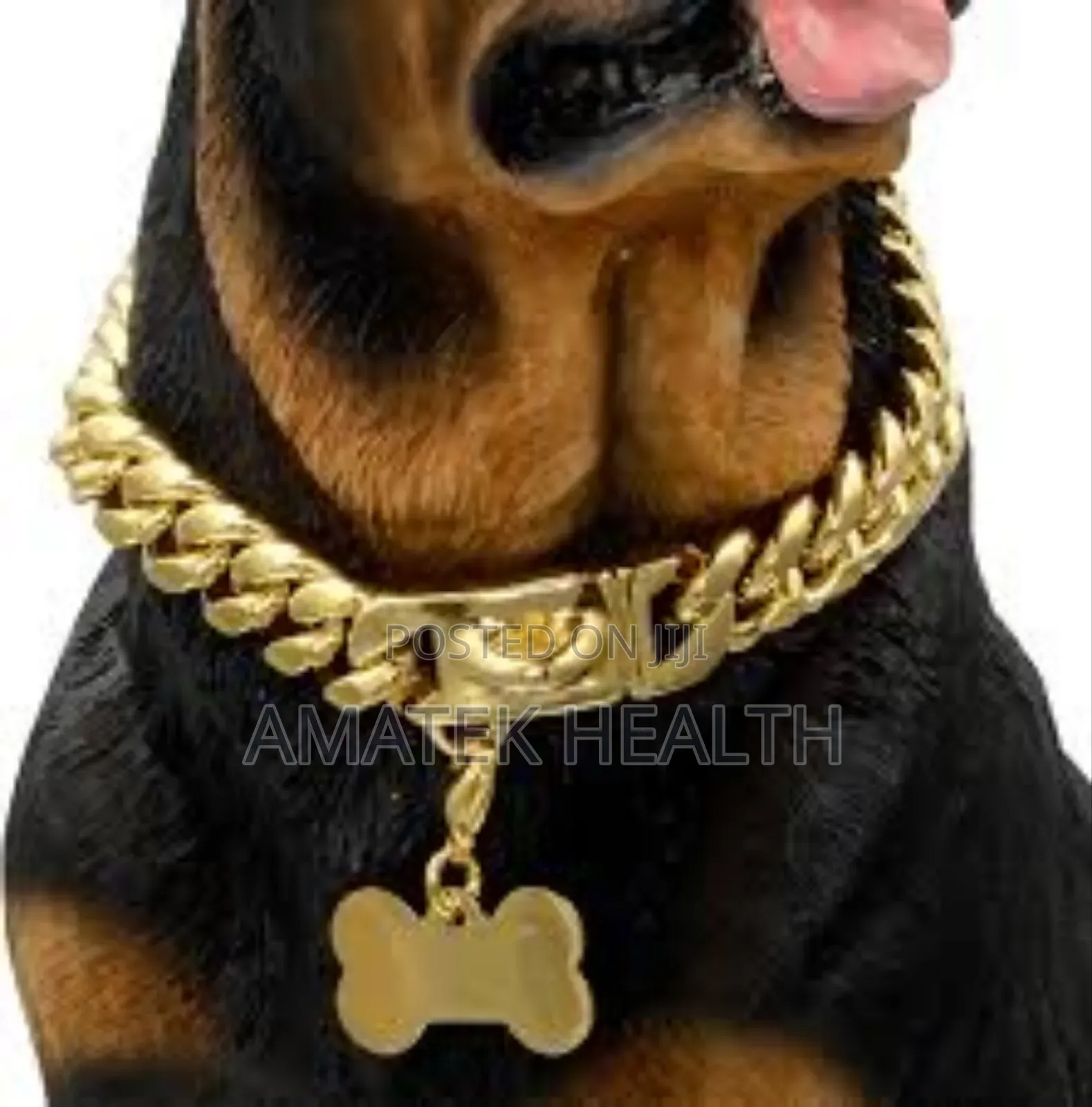 Dog Chain Price in Nigeria at Amatek
