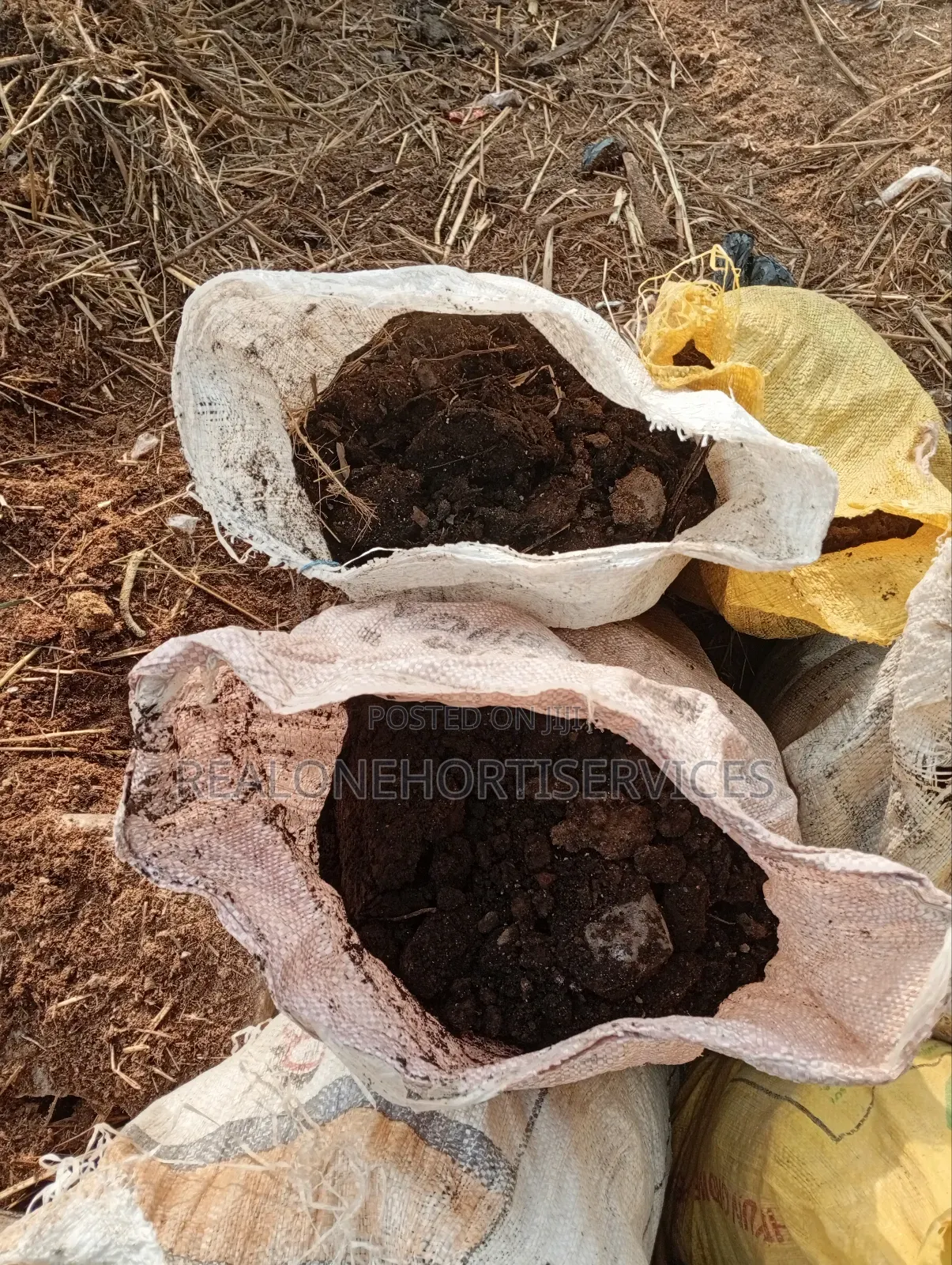 Get the Best Soil for Your Green Garden Setup