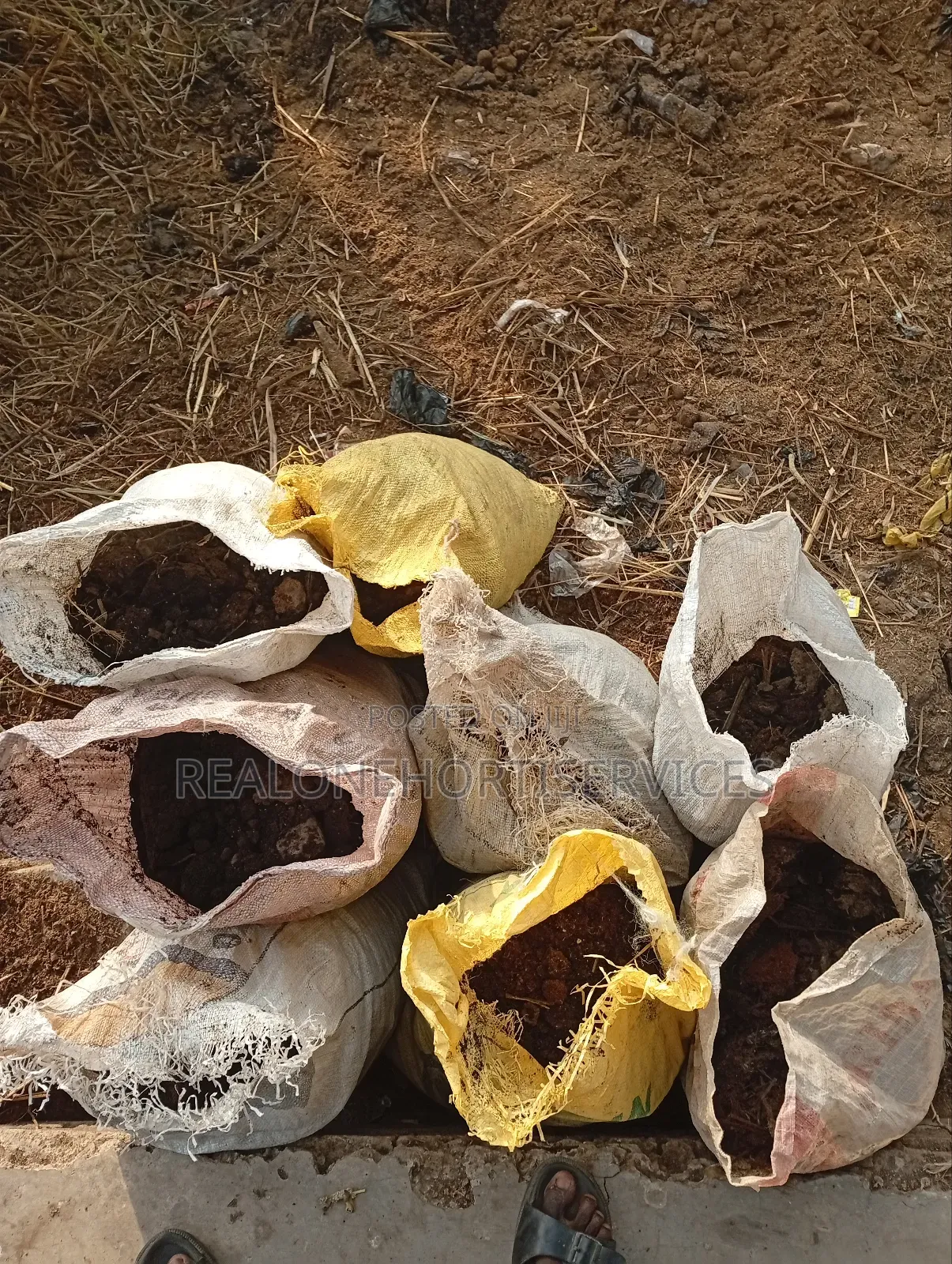 Get the Best Soil for Your Green Garden Setup