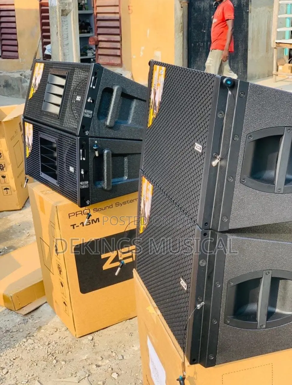 Zed 10 Inches Passive Line Array Speaker System Pair