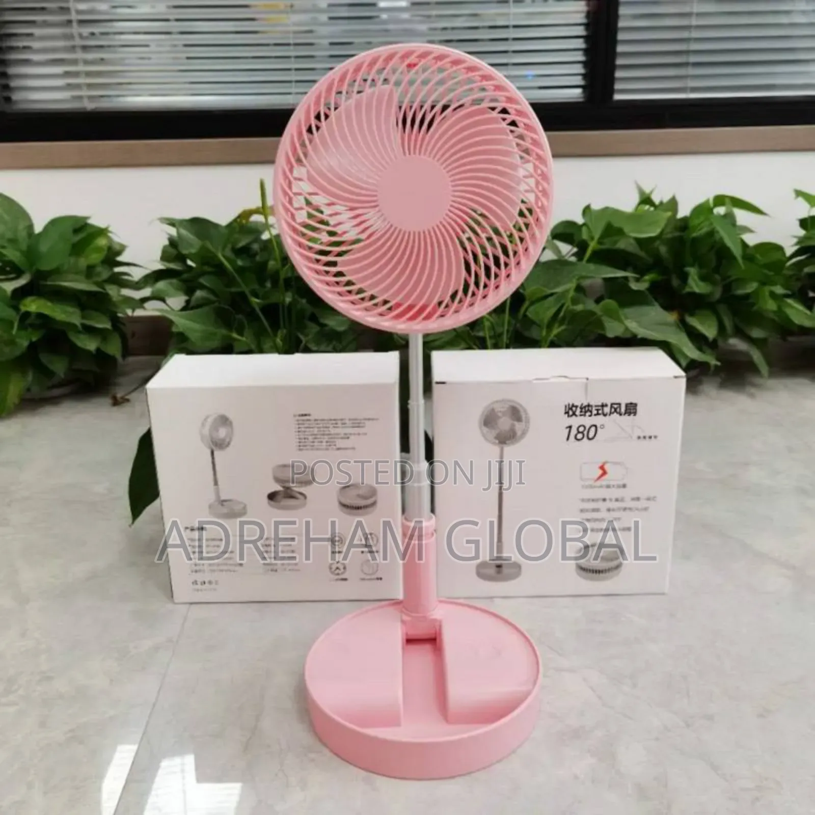Long Pole Telescopic (Rechargeable) Fan