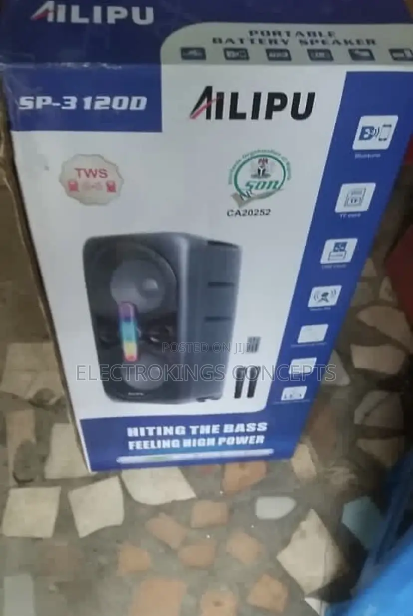 Portable Party Speaker With Double Microphone
