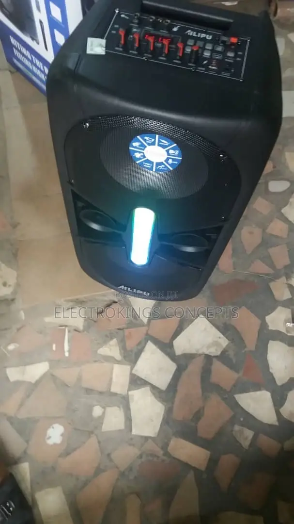 Portable Party Speaker With Double Microphone