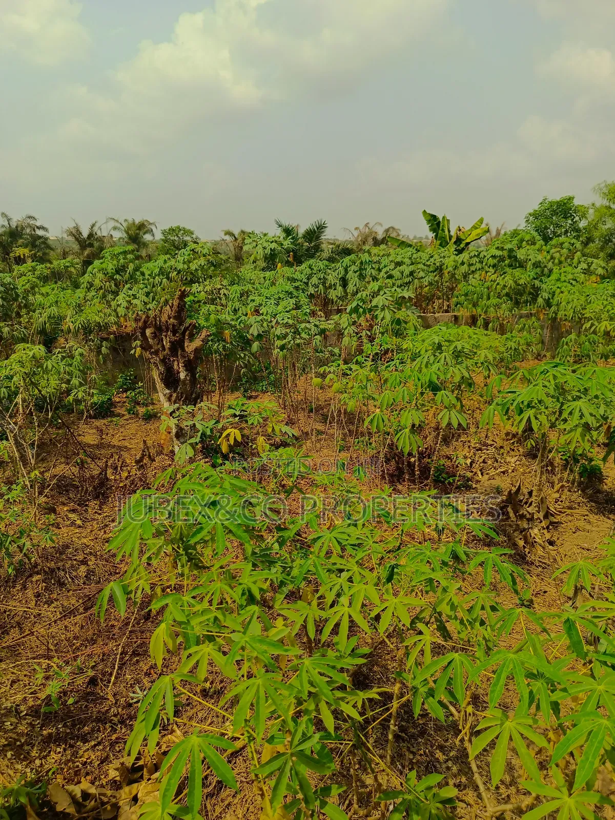 15 Acres of Land Facing Lagos/Ibadan Commercial Use