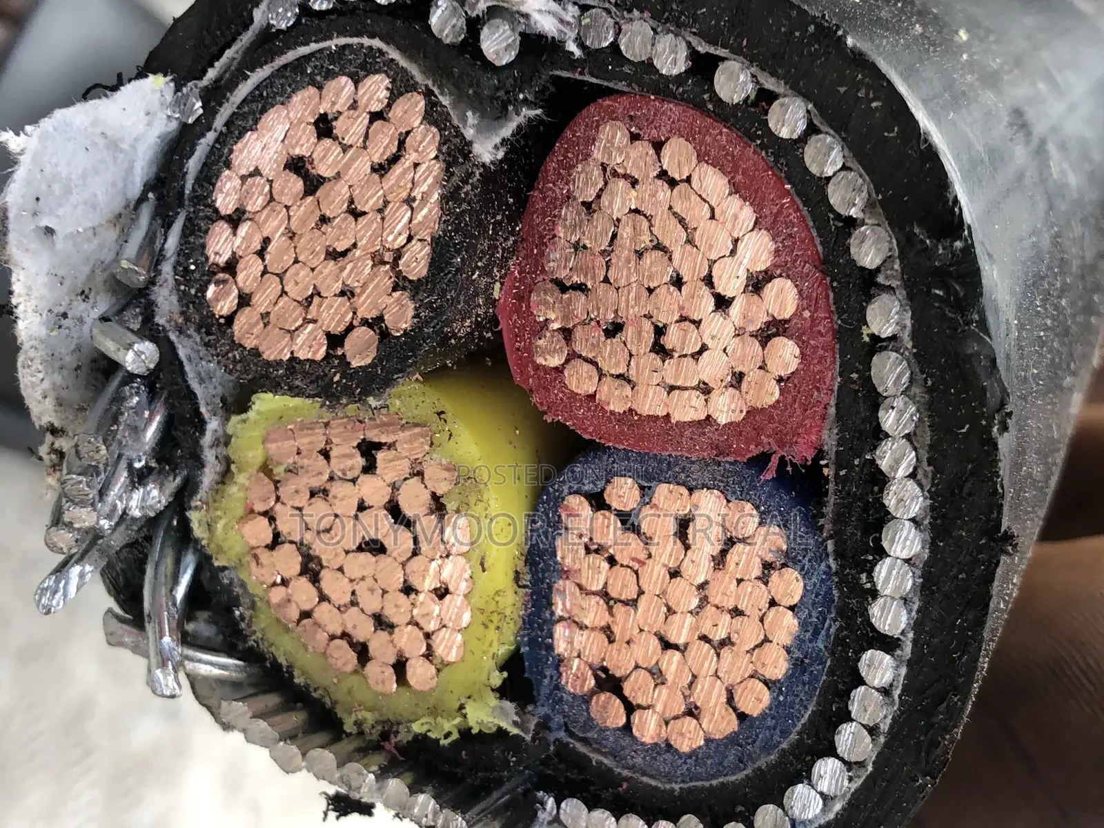 300mm 4core Coleman Wire Available