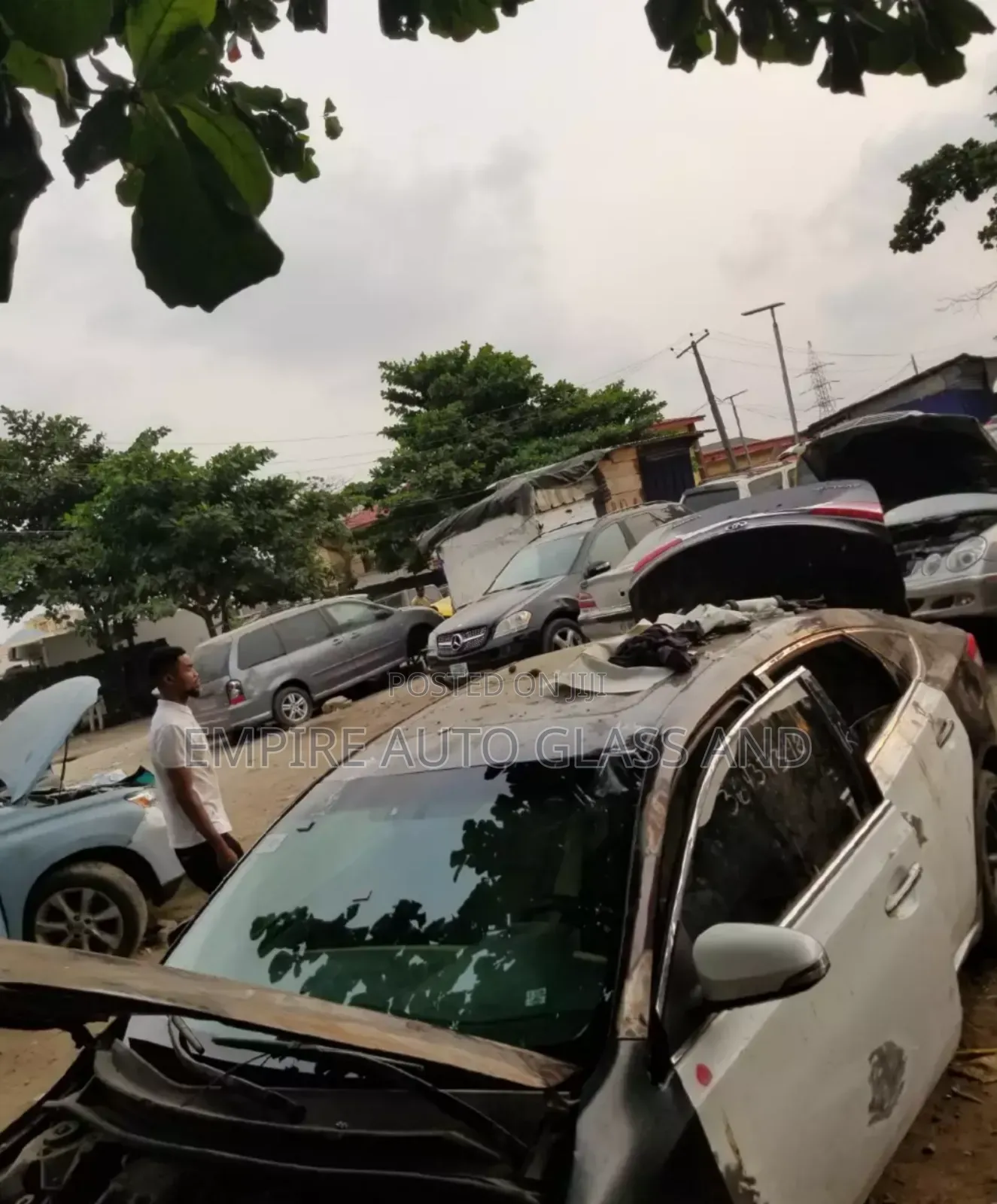 Front Windscreen for Toyota Avalon 2015 Model Available Now