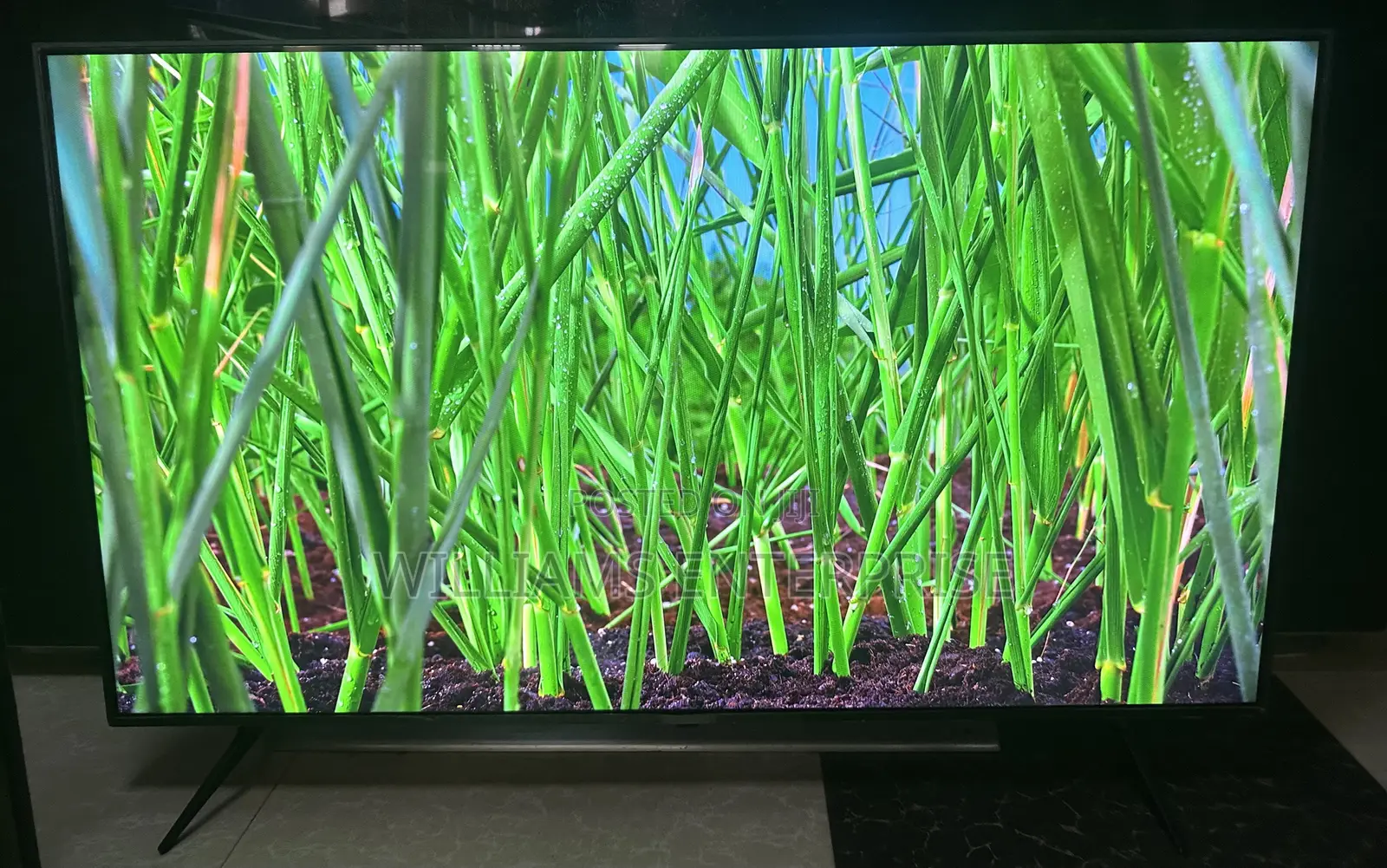 LG 55 Inches Smart UHD Tv