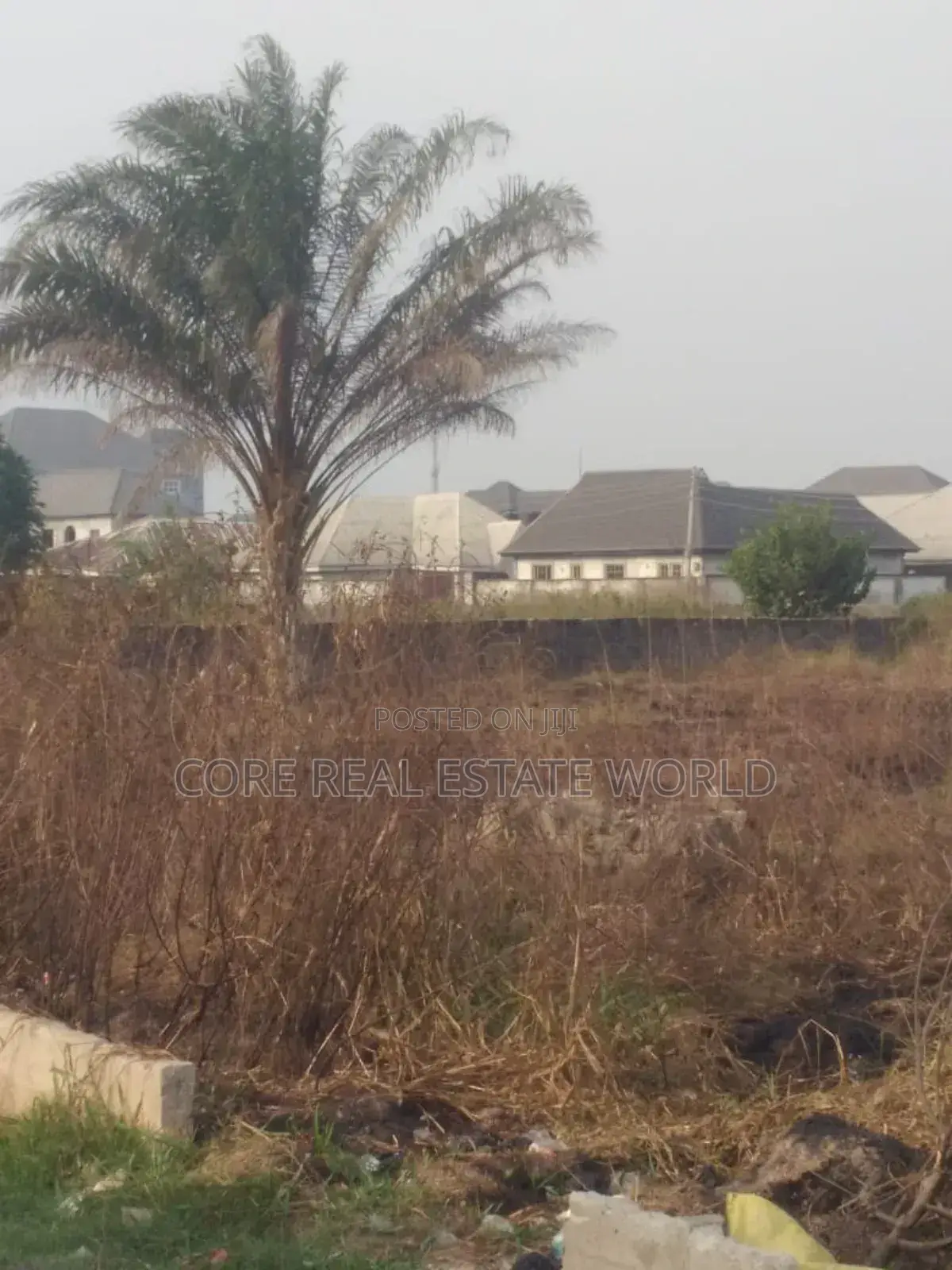 Ikola Ipaja Command Estate Land Lagos State