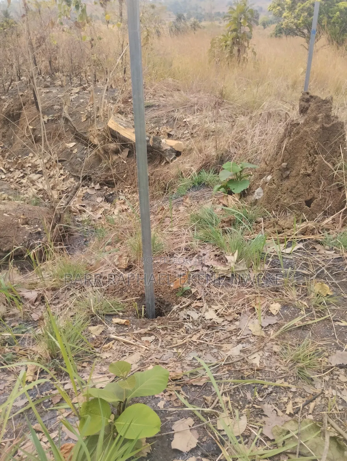 1000 Plots of Land for Sale