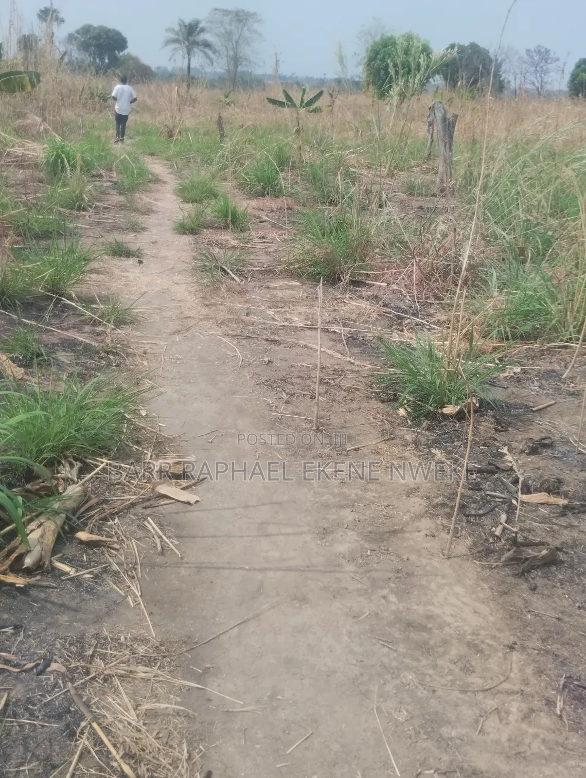 1000 Plots of Land for Sale