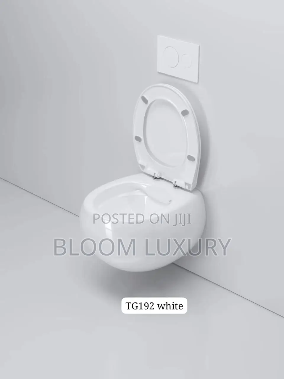 Egg Shaped Conceal Toilet Available