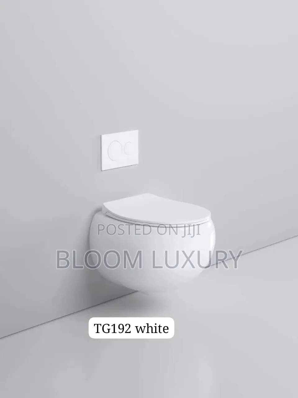 Egg Shaped Conceal Toilet Available