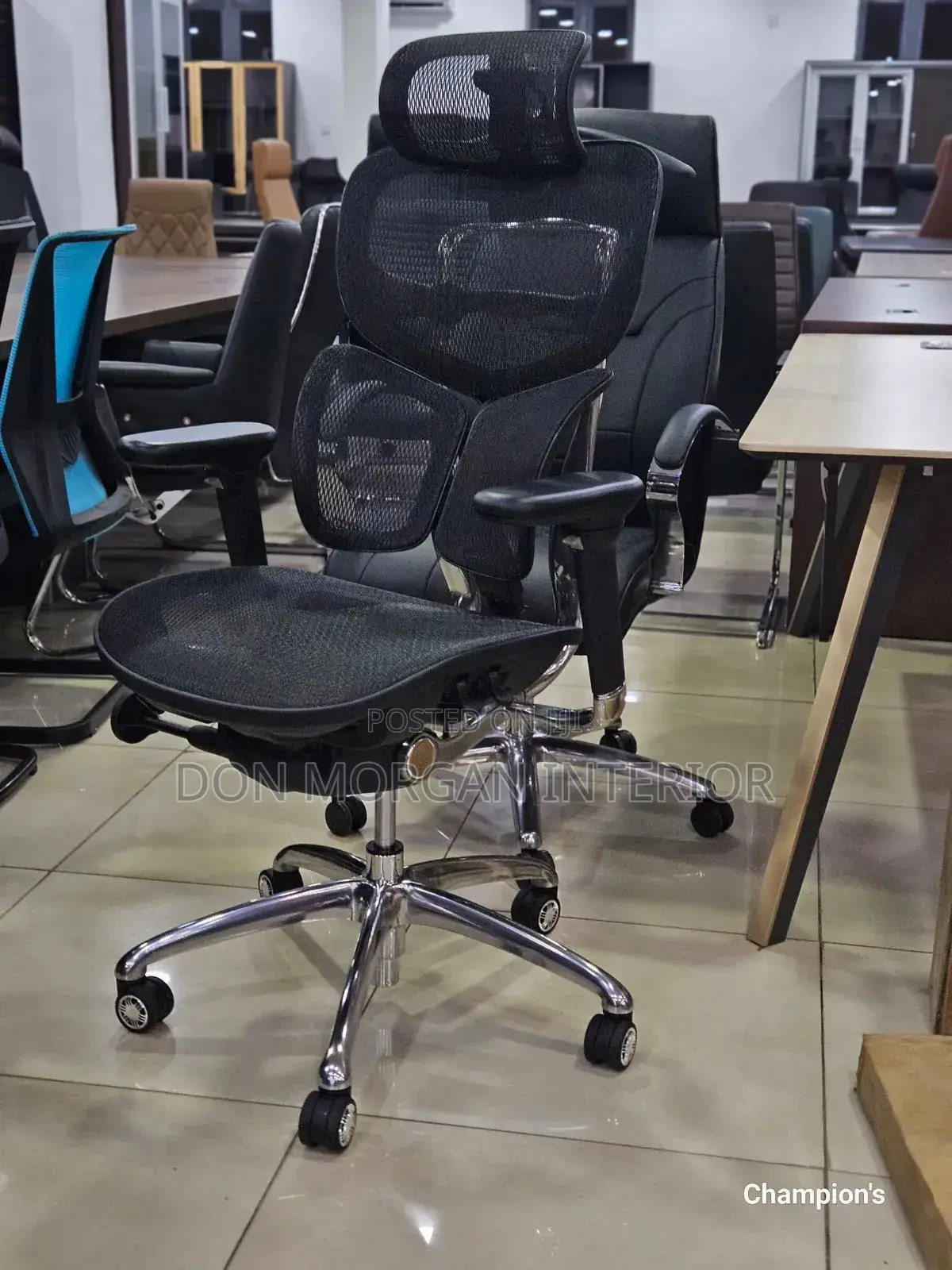 Autopedic Net Chair for Directors