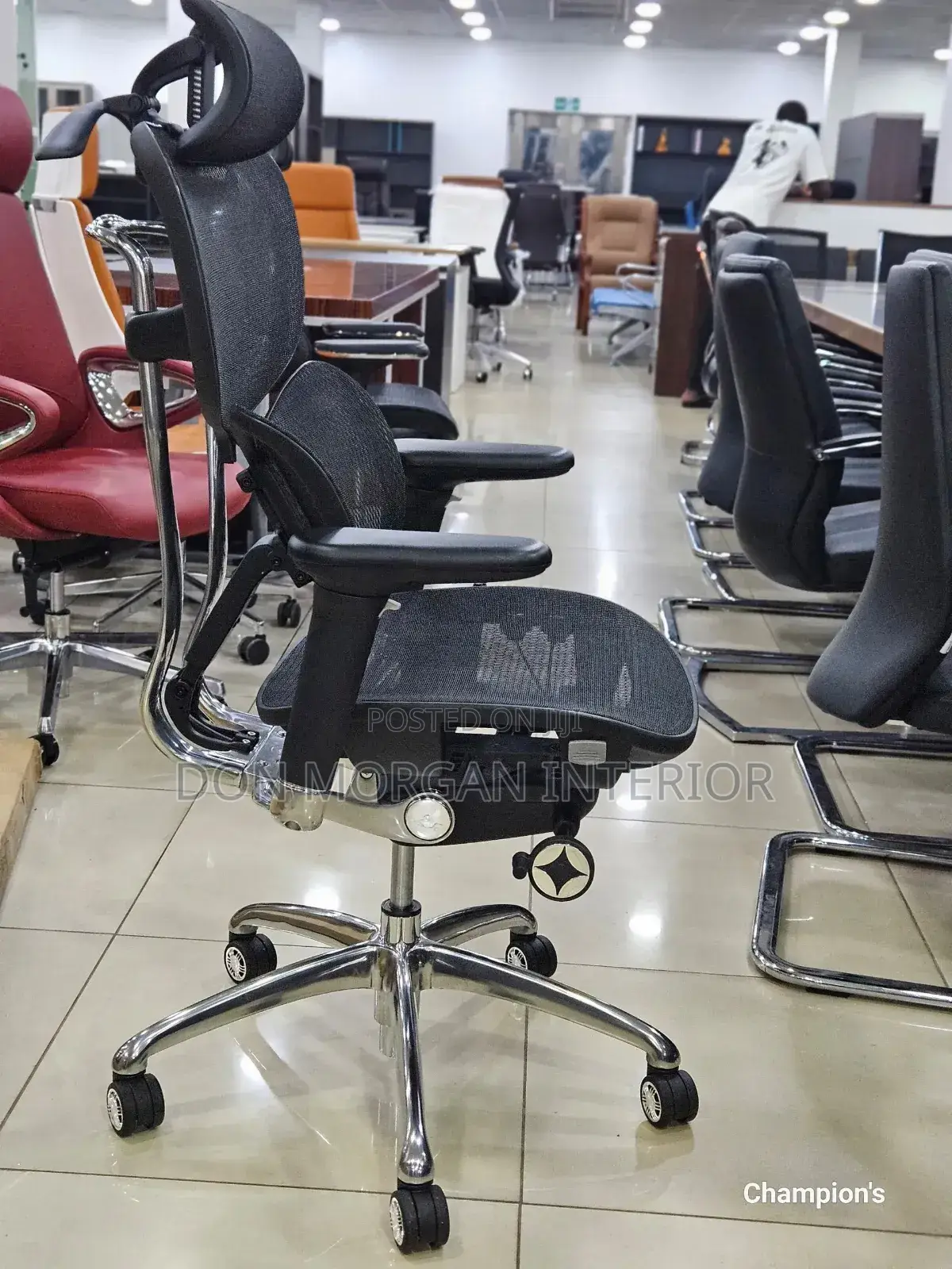 Autopedic Net Chair for Directors