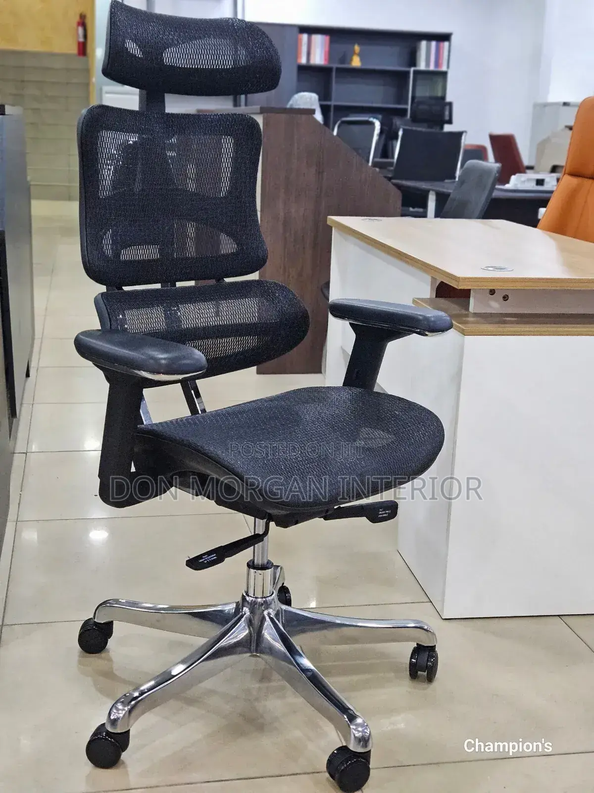 Autopedic Quality Net Chair for Directors