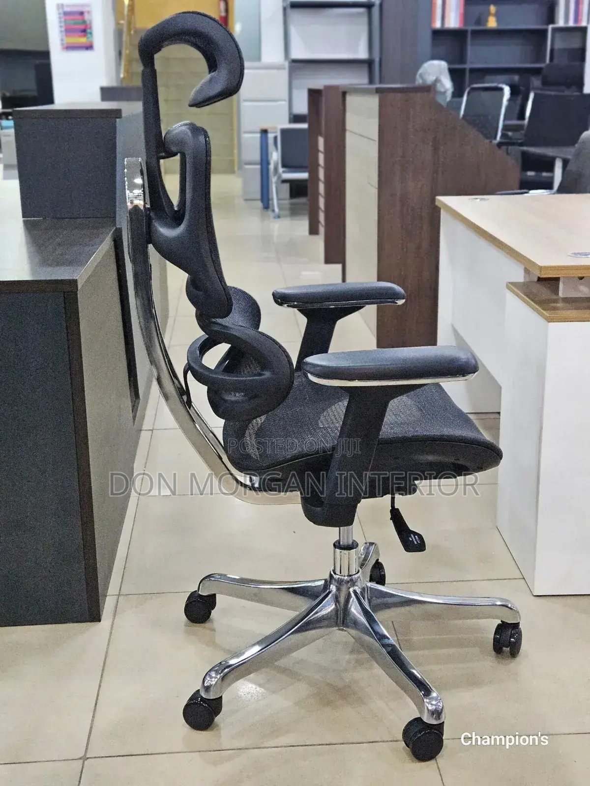 Autopedic Quality Net Chair for Directors