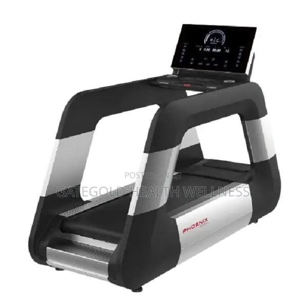 Treadmill (DHZ Brand) King of Treadmills X8900P