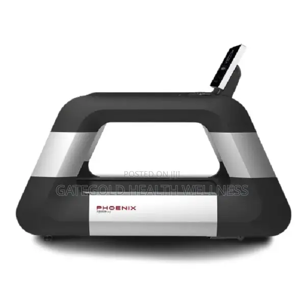 Treadmill (DHZ Brand) King of Treadmills X8900P