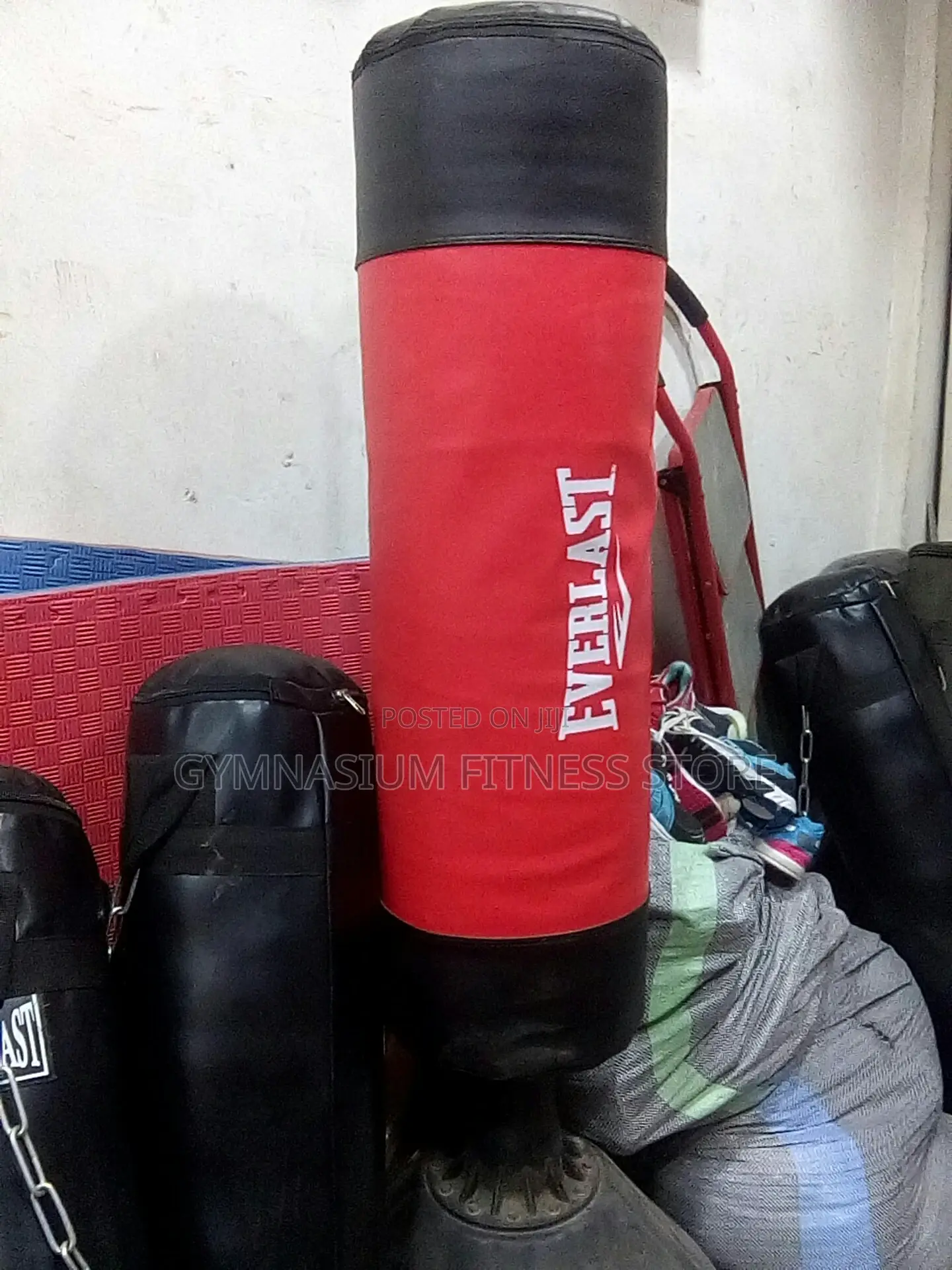 Everlast Punching Bagb101