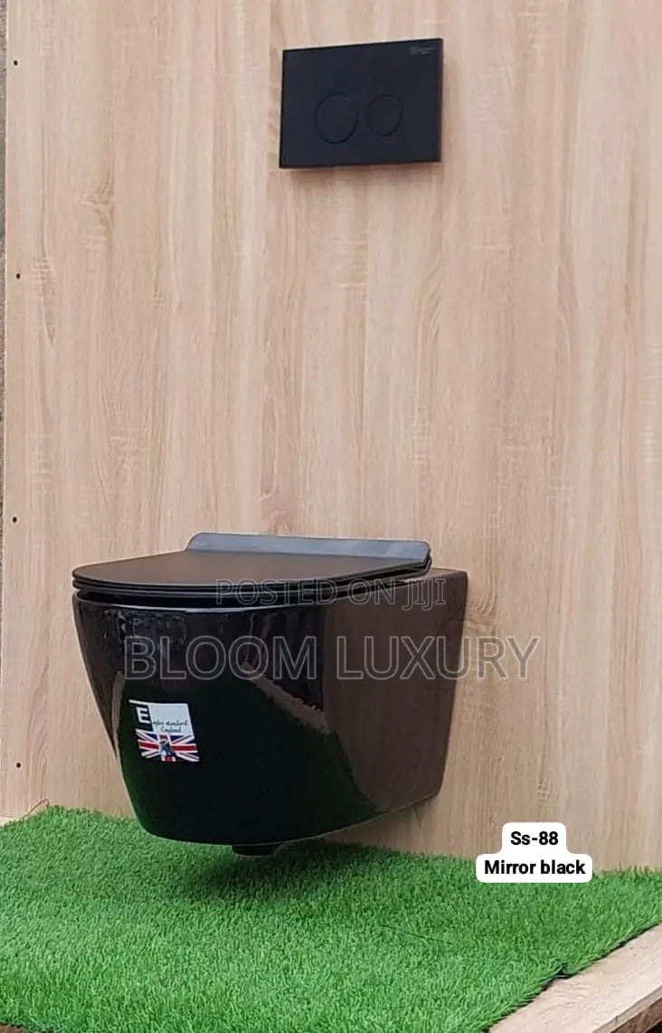 Beautiful Quality Conceal Toilet