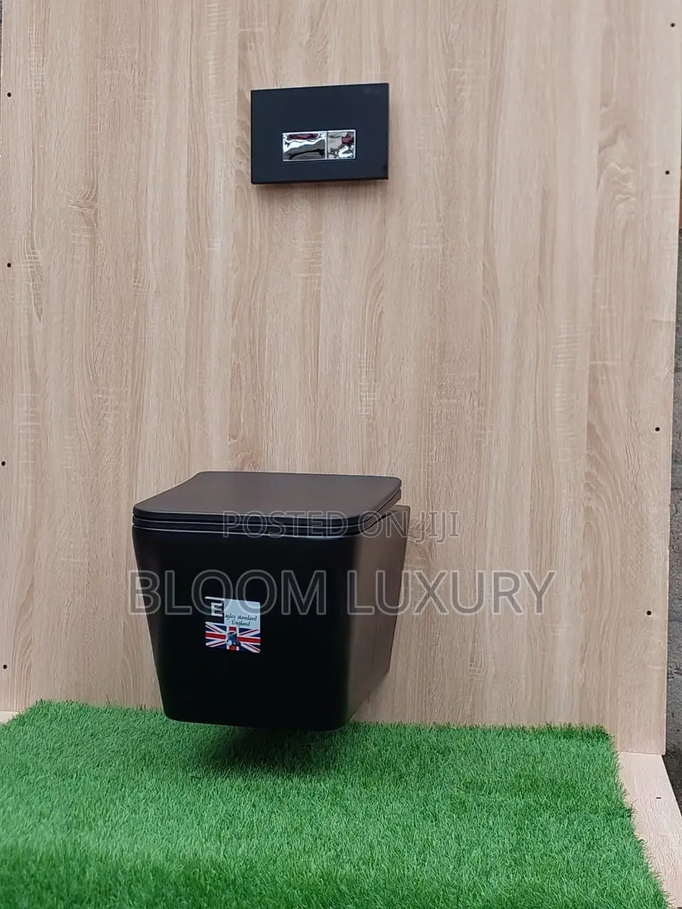 Beautiful Quality Conceal Toilet