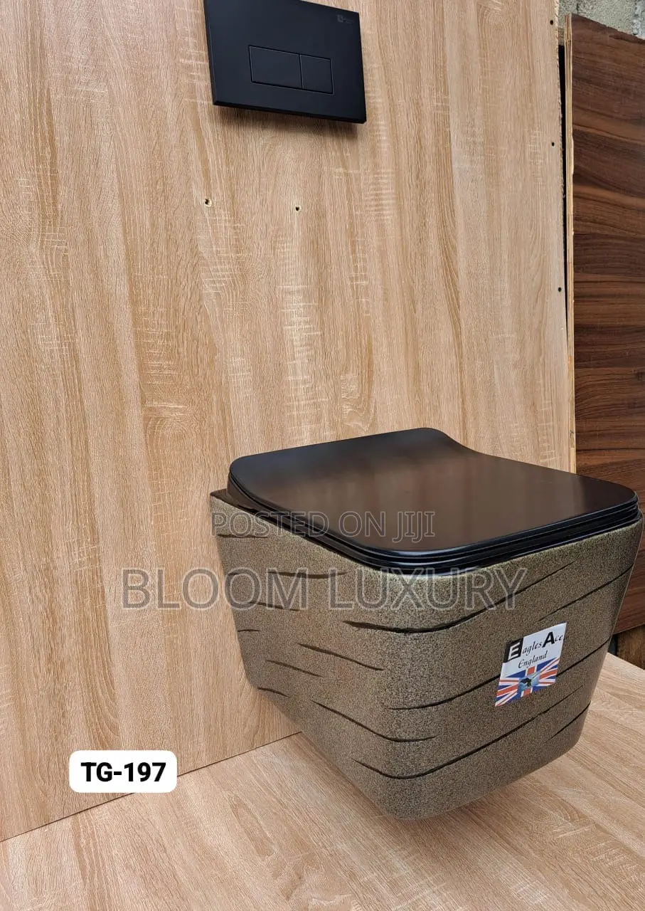 Beautiful Quality Conceal Toilet
