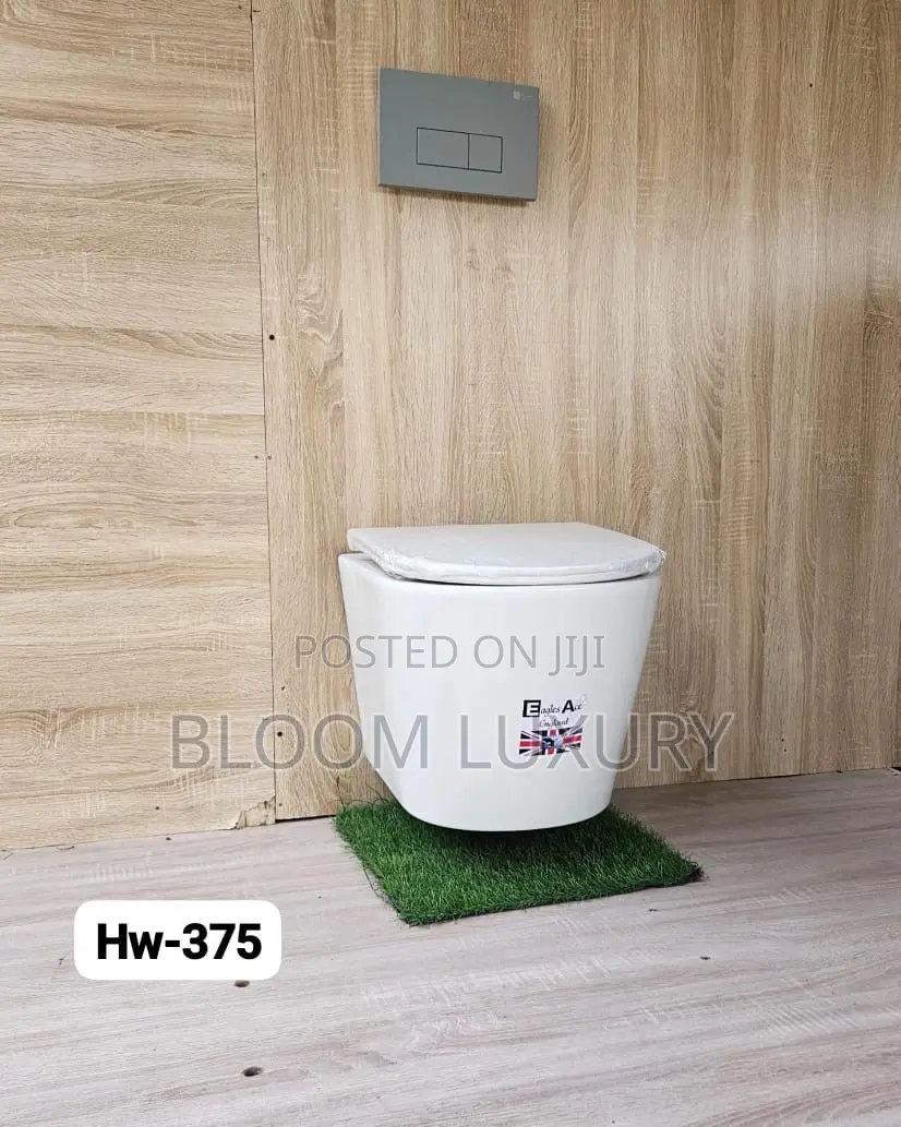 The Ultimate Space Saver Conceal Toilets